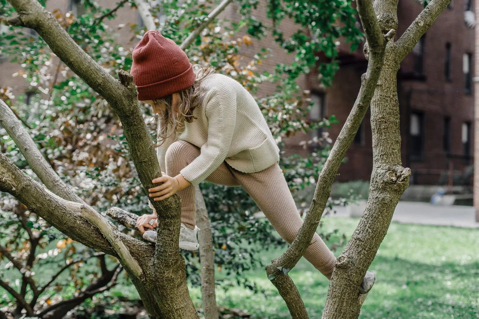 Un enfant grimpe dans un arbre en s’accrochant aux branches.